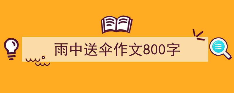 手把手教你写雨中送伞作文800字（精选雨中送伞作文800字5篇）"/