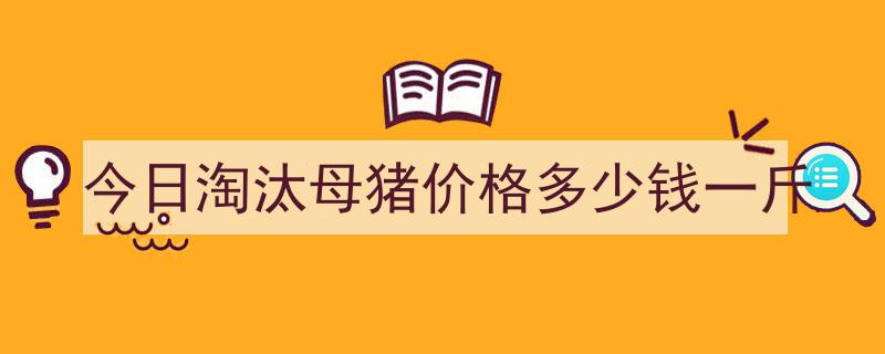 今日淘汰母猪价格多少钱一斤"/