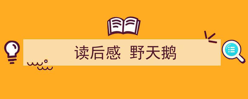 精心挑选《读后感