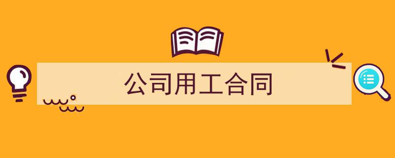 如何写《公司用工合同》教你5招搞定！（精选5篇）"/