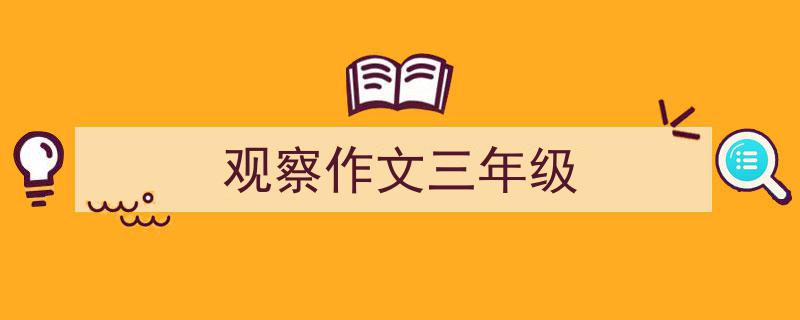 怎么写《观察作文三年级》才能拿满分？（精选5篇）"/