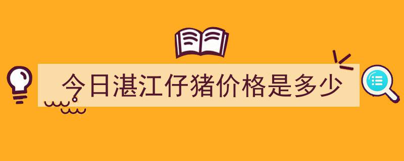 今日湛江仔猪价格是多少"/