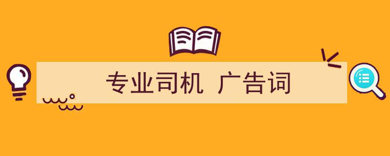 怎么写《专业司机