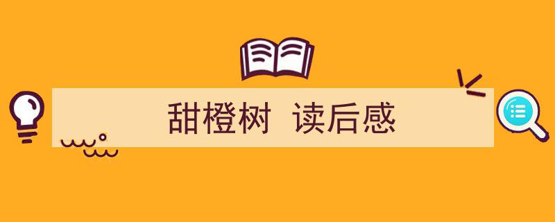 3招搞定《甜橙树