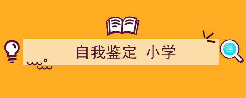 自我鉴定