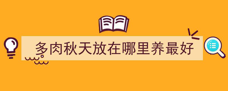 多肉秋天放在哪里养最好"/