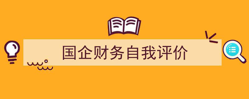 格策美文教你学写《国企财务自我评价》小技巧（精选5篇）"/
