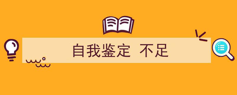 自我鉴定