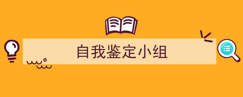 怎么写《自我鉴定小组》才能拿满分？（精选5篇）"/