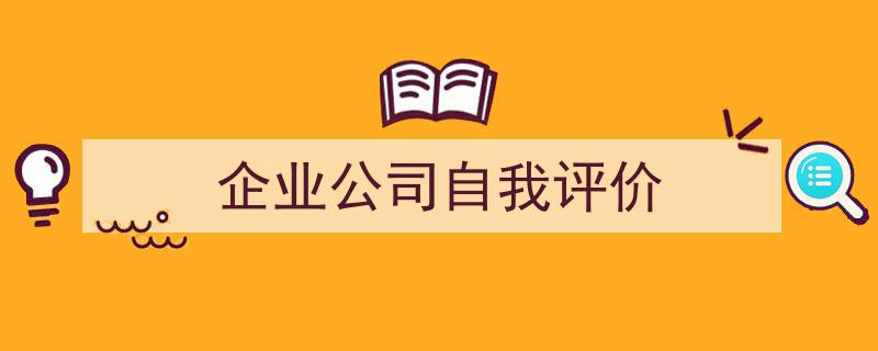 一篇文章轻松搞定《企业公司自我评价》的写作。（精选5篇）"/