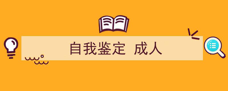 自我鉴定
