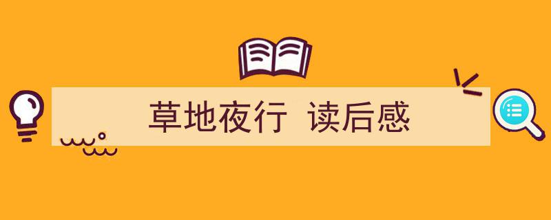 精心挑选《草地夜行
