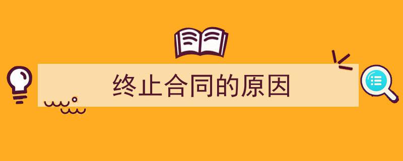 格策美文教你学写《终止合同的原因》小技巧(精选5篇)"/