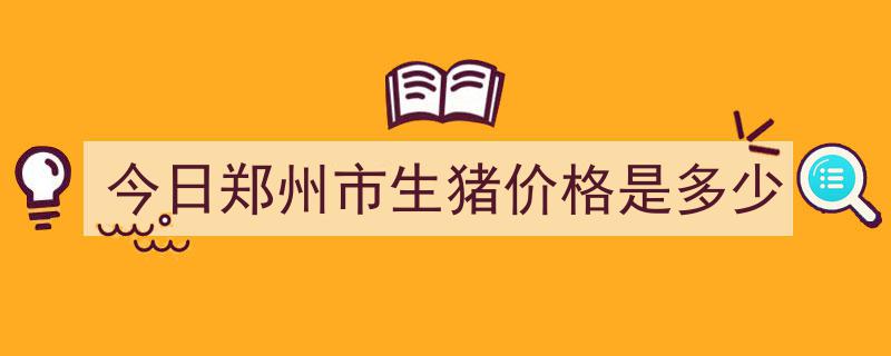 今日郑州市生猪价格是多少"/