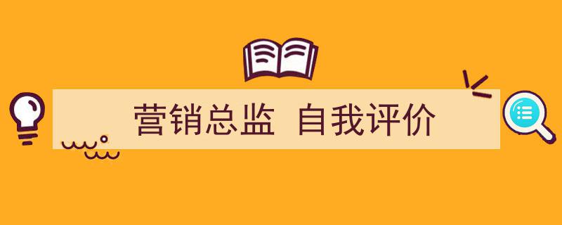 精心挑选《营销总监