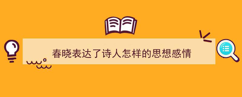 手把手教你写《春晓表达了诗人怎样的思想感情》,（精选5篇）"/
