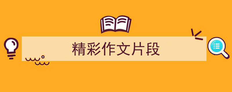 推荐《精彩作文片段》相关写作范文范例（精选5篇）"/